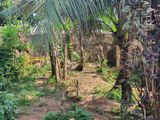 Prime 23.5 Perch Residential Land for Sale in Rathmalana | SL14754