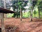 Prime 24-Perch Land for Sale – Ganemulla