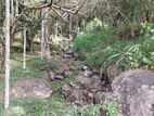 Prime 28-Acre Land for Sale in Gampola