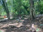 Prime 35 Perch Land for Sale – Heenatigala (Paddy View)