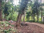 Prime 35 Perch Land for Sale – Heenatigala (Paddy View)
