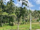 Prime 4 Acre 30 Perch Commercial Land for Sale – Watareka, Padukka