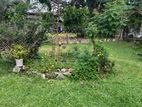 Prime 40-Perch Land Including House -for Sale in Godalla Watta rd Malabe