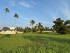 Prime 40 Perch Residential Land for Sale in Negombo