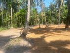 Prime 40 Perch Residential Land in Gampaha | SL14747