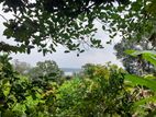Prime 40-Perch Riverside Land For Sale in Hikkaduwa