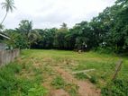 Prime 45 Perch Land for Sale Negombo
