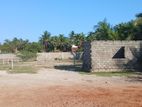 54-Perch Residential Land for Sale in Mannar
