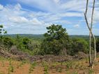 Prime 588P Sea View Land for Sale in Weligama | SL14796