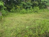 Prime 6-Perch Block-Out Land for Sale Malabe