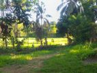 Prime 65P Land with Stunning Paddy Field Views in Kamburugamuwa, Matara