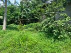 Prime 7.1 Perch Land for Sale – Kahathudua South, Polgasowita