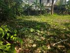 Prime 83-Perch Land for Sale in Gampaha /Bandarawatta