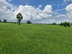Prime Agricultural Land for Sale