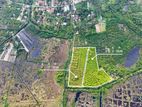 Prime Agricultural Land for Sale in Wattala