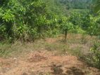 Prime Bare Land for Sale in Radawadunna, Pasyala