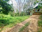 Prime Bare Land For Sale In Thalawathugoda