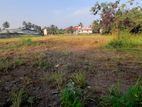 Prime Bare Land for Sale in Wattala (C7-5430)