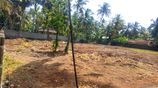 Prime Beachfront Land for Sale – Akurala, Hikkaduwa