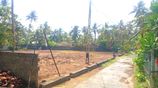 Prime Beachfront Land for Sale – Akurala, Hikkaduwa