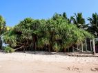Prime Beachfront Land for Sale Kamburugamuwa