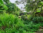 Prime Beachfront Land for Sale Mount Lavinia | 29 Perches