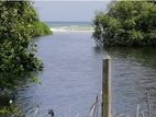 Prime Beachfront Land with Lagoon View for Sale Kottagoda