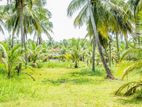 Land for Sale - Pasikuda Sri Lanka