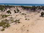 Prime Beachside Land with Approvals in Jaffna