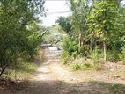 Prime Coastal Land for Sale in Thalaramba, Mirissa