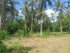 Prime Coconut Estate for Sale in Welagana, Divulapitiya