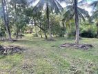 Prime Coconut Land for Sale at Bingiriya.