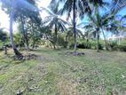 Prime Coconut Land for Sale at Thisogama, Getulawa Road, Bingiriya.