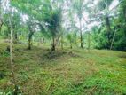 Prime Coconut Land with House for Sale 2 Acres