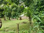 Prime Commercial and residential Land