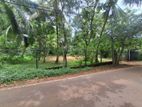Prime Commercial cum Residential Property for Sale at Gampaha