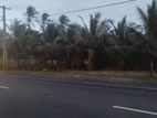 Prime Commercial Land for Sale in Hikkaduwa