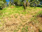 Prime Commercial Land For Sale in Kandy