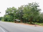 Prime Commercial Land for Sale in Sigiriya Facing Dambulla Habarana Road