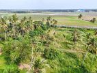 Prime Commercial Land for Sale Near Bandaranaike International Airport