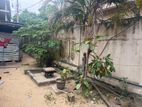 Prime Commercial Land with Shops for Sale Ampara