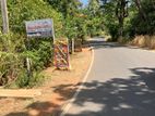 Prime Commercial Property Located in Sigiriya – Paranagama Area