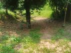 Prime Commercial / Residential Land for Sale in POLGOLLA