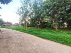 Prime Commercial Rubber Land for Sale in Biyagama.