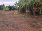 Prime Developed Land for Sale - Hunupitiya Wattala