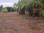 Prime Developed Land for Sale - Wattala Hunupitiya