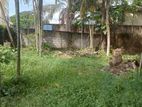 Prime Exclusive Land For Sale At Jawatta, Colombo 05