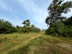 Land for Long Term Lease - Panadura