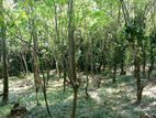 Prime Hillside Land with River Frontage Sabaragamuwa