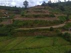 Prime Investment Land for Sale at Nuwara Eliya (EM084AF)